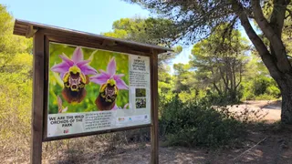 Il parco naturale di Ugento un'aula a cielo aperto “disegnata” dagli studenti di Casarano