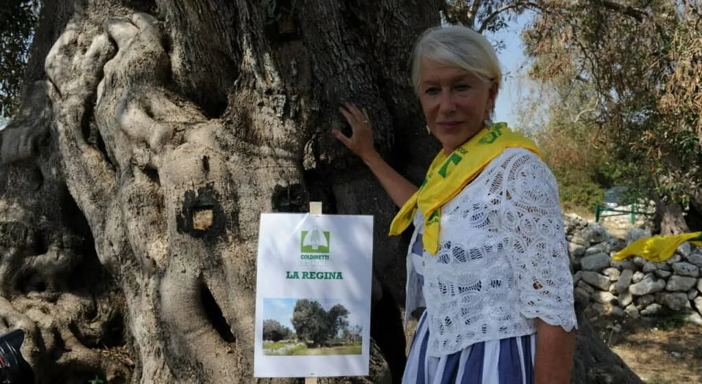 xylella mirren