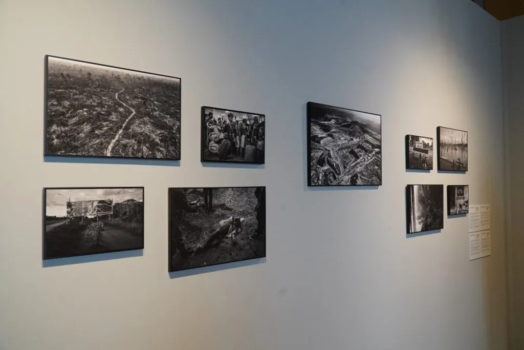 WORLD PRESS PHOTO