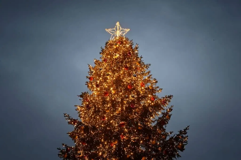 albero di natale