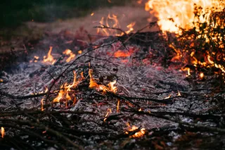 La Puglia che brucia conquista il podio (negativo): 979 incendi in un mese